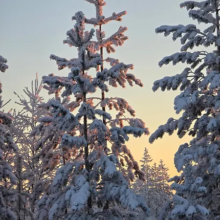 Lapland Family Home, Private Sauna By Lapland Host *
