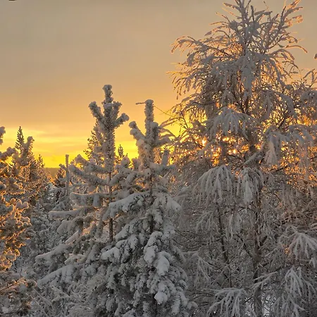 Lapland Family Home, Private Sauna By Lapland Host *